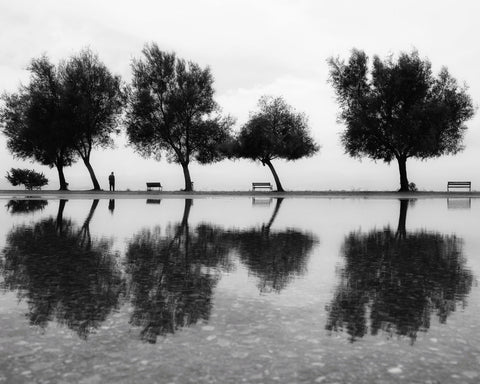 A Reflection from Karyaka
