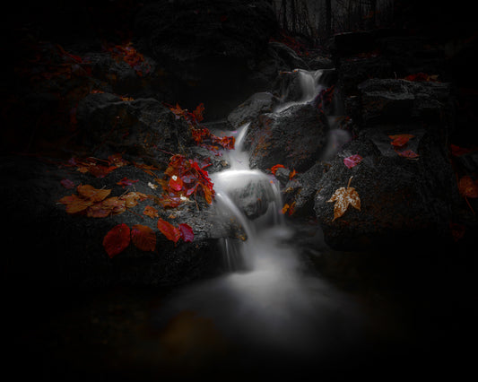 Flow And Life