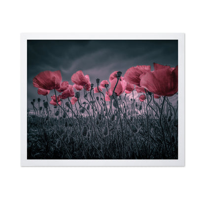 Wild Poppies Near Argenteuil