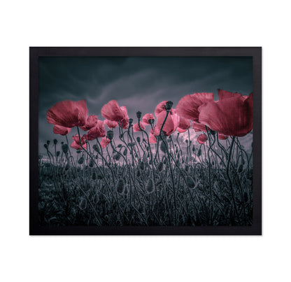 Wild Poppies Near Argenteuil