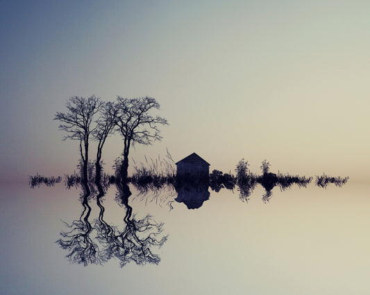 In The Horizon