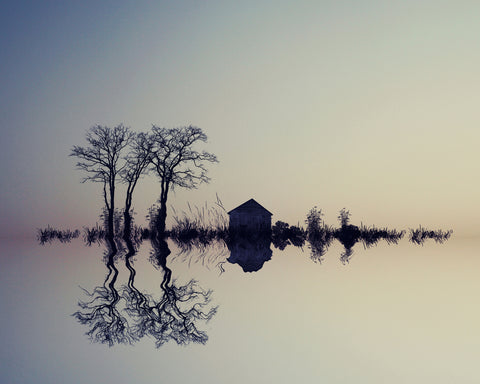 In The Horizon