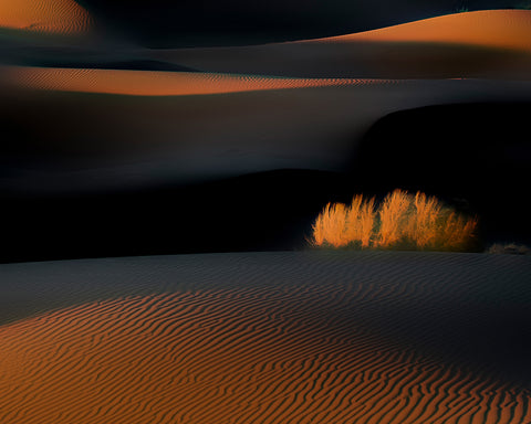 Lines
