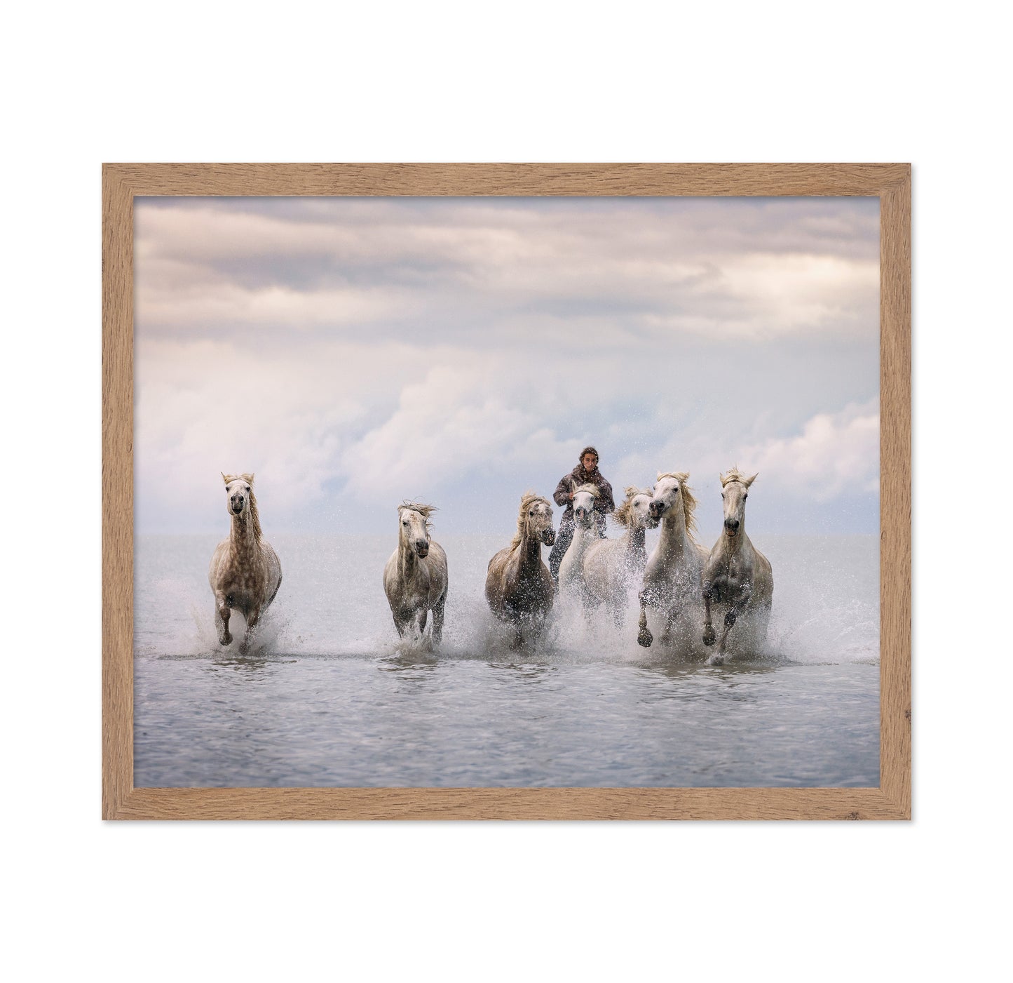 Camargue Horses