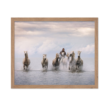 Camargue Horses