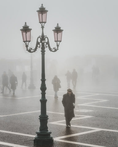 Shadows In The Mist