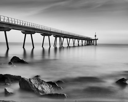 Pont del Petroli