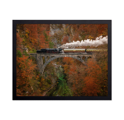 Museum Train