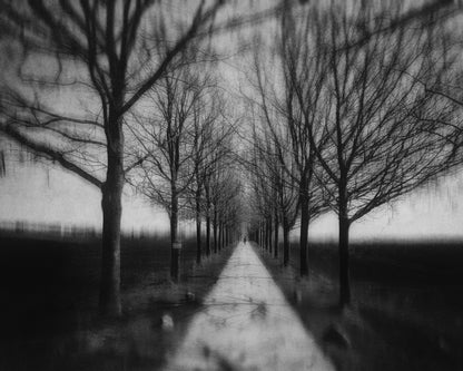 Stepping Through The Shadows