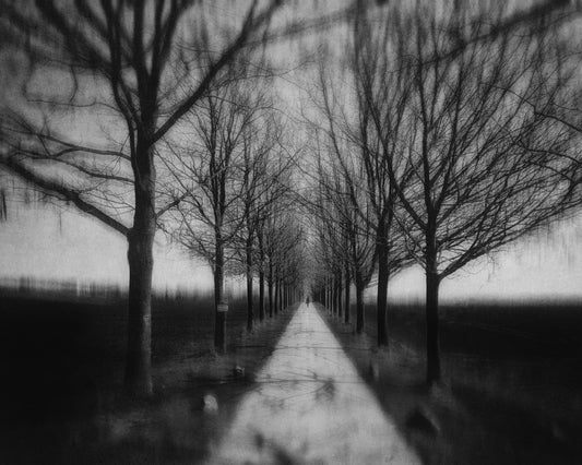 Stepping Through The Shadows