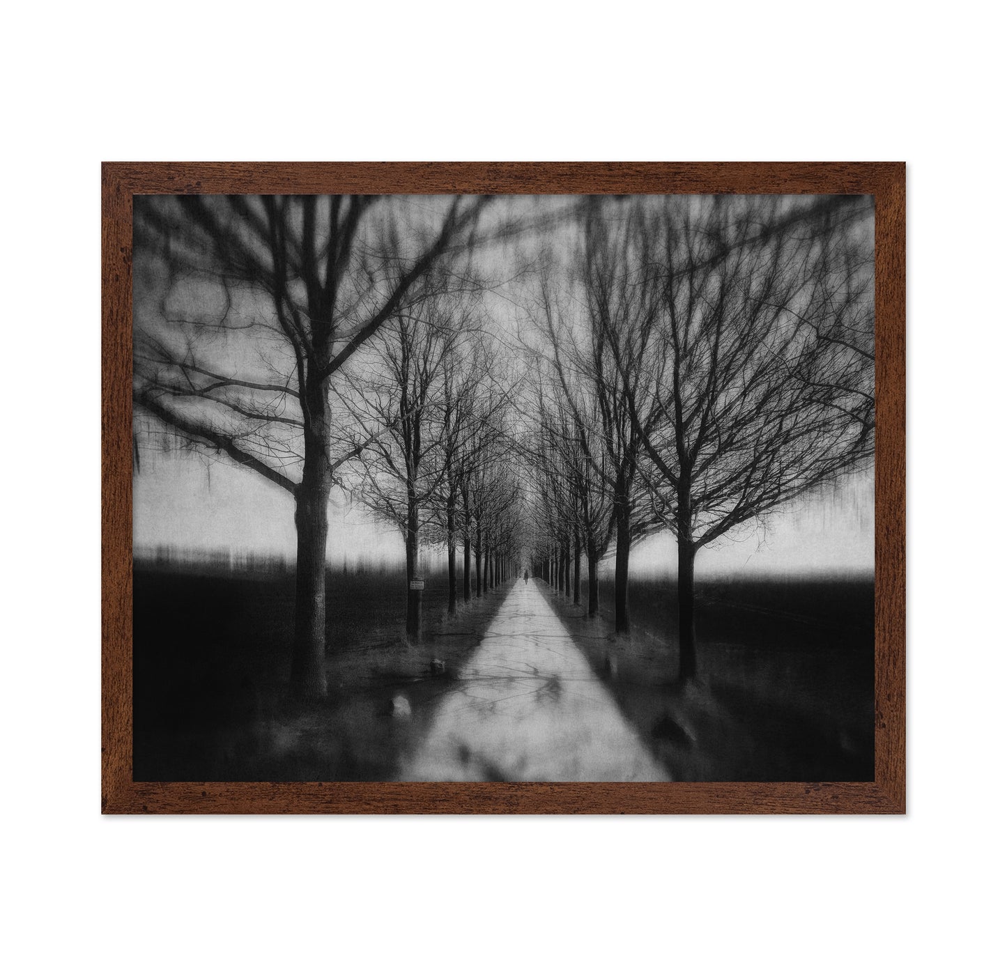 Stepping Through The Shadows