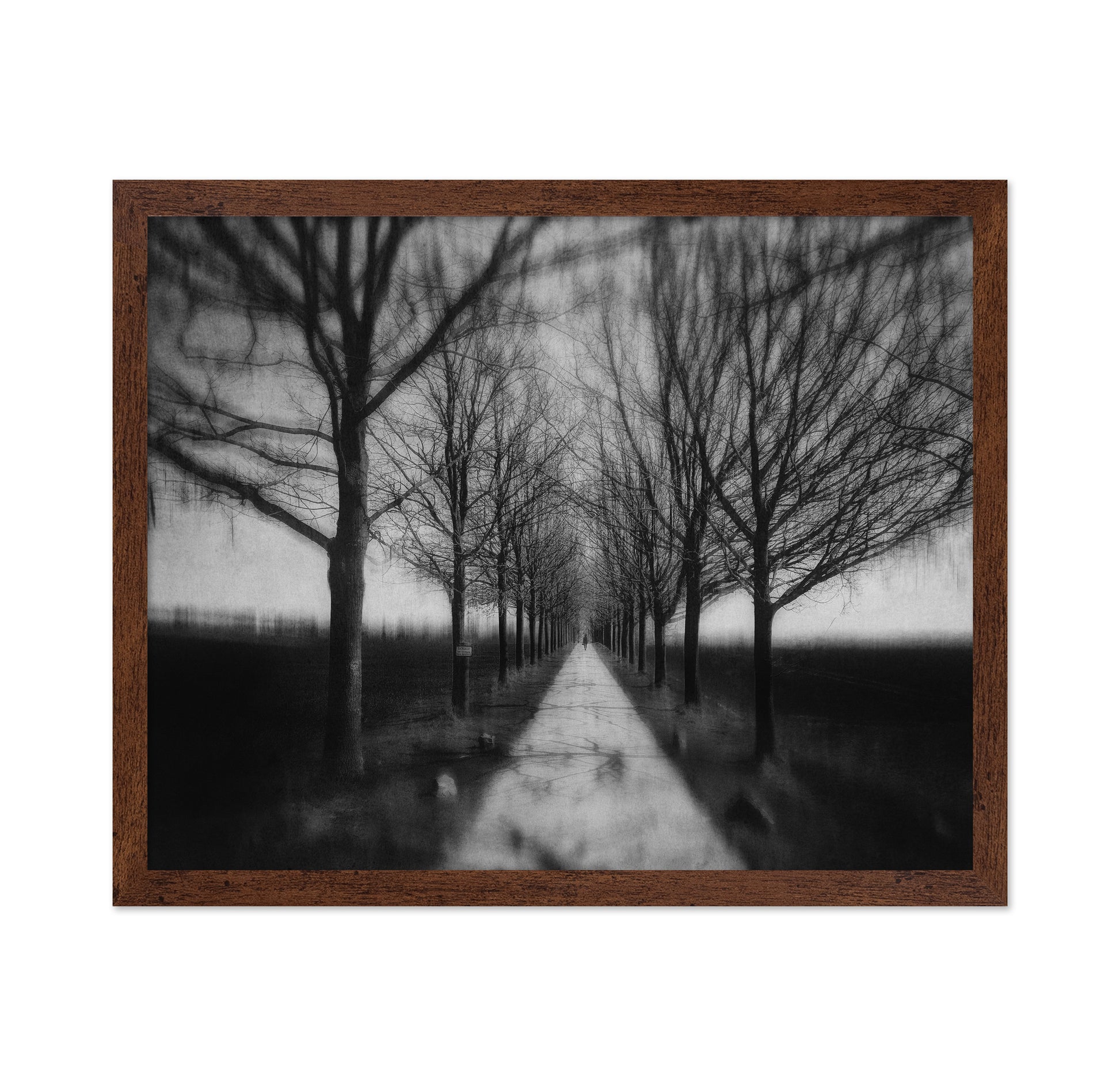 Stepping Through The Shadows