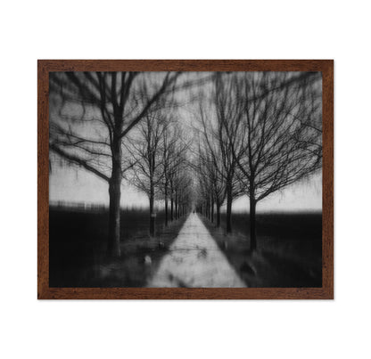 Stepping Through The Shadows