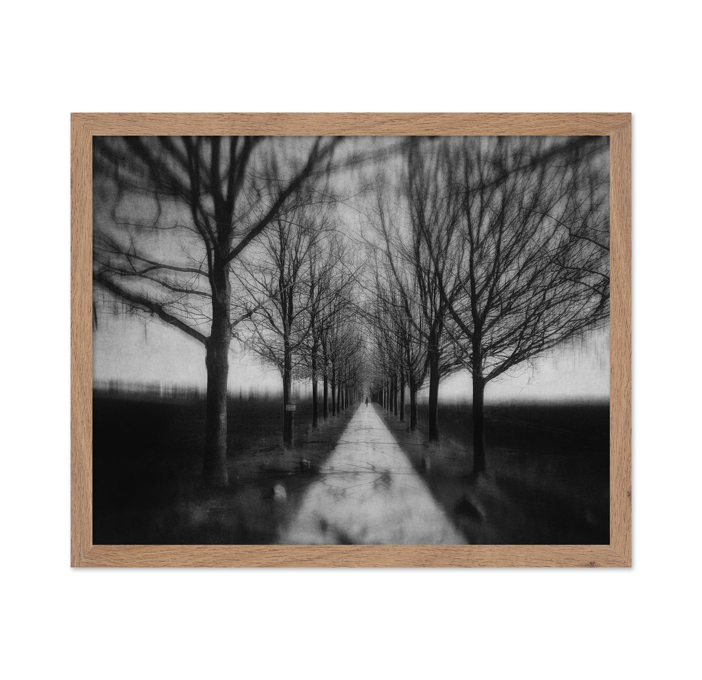 Stepping Through The Shadows