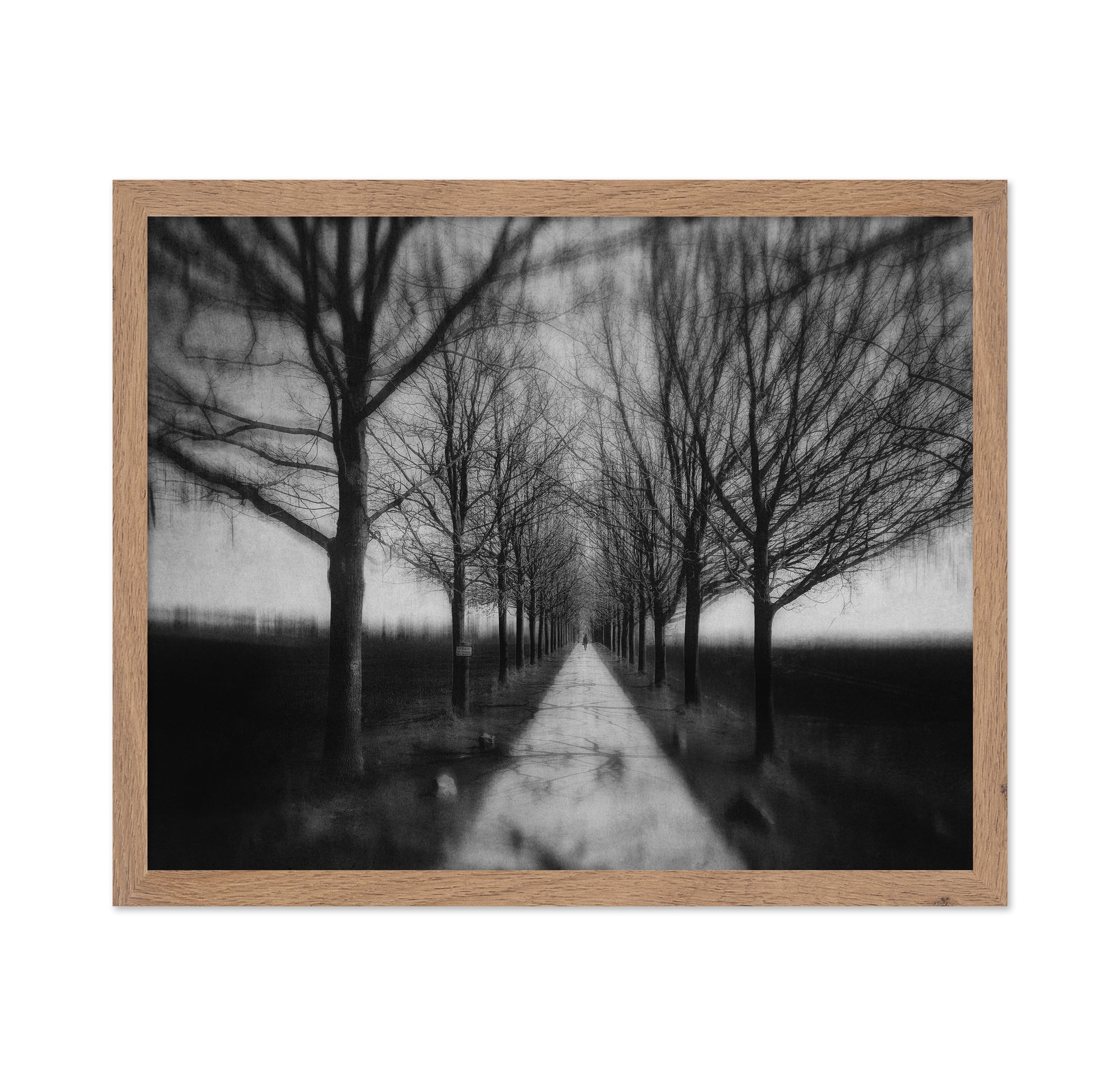 Stepping Through The Shadows
