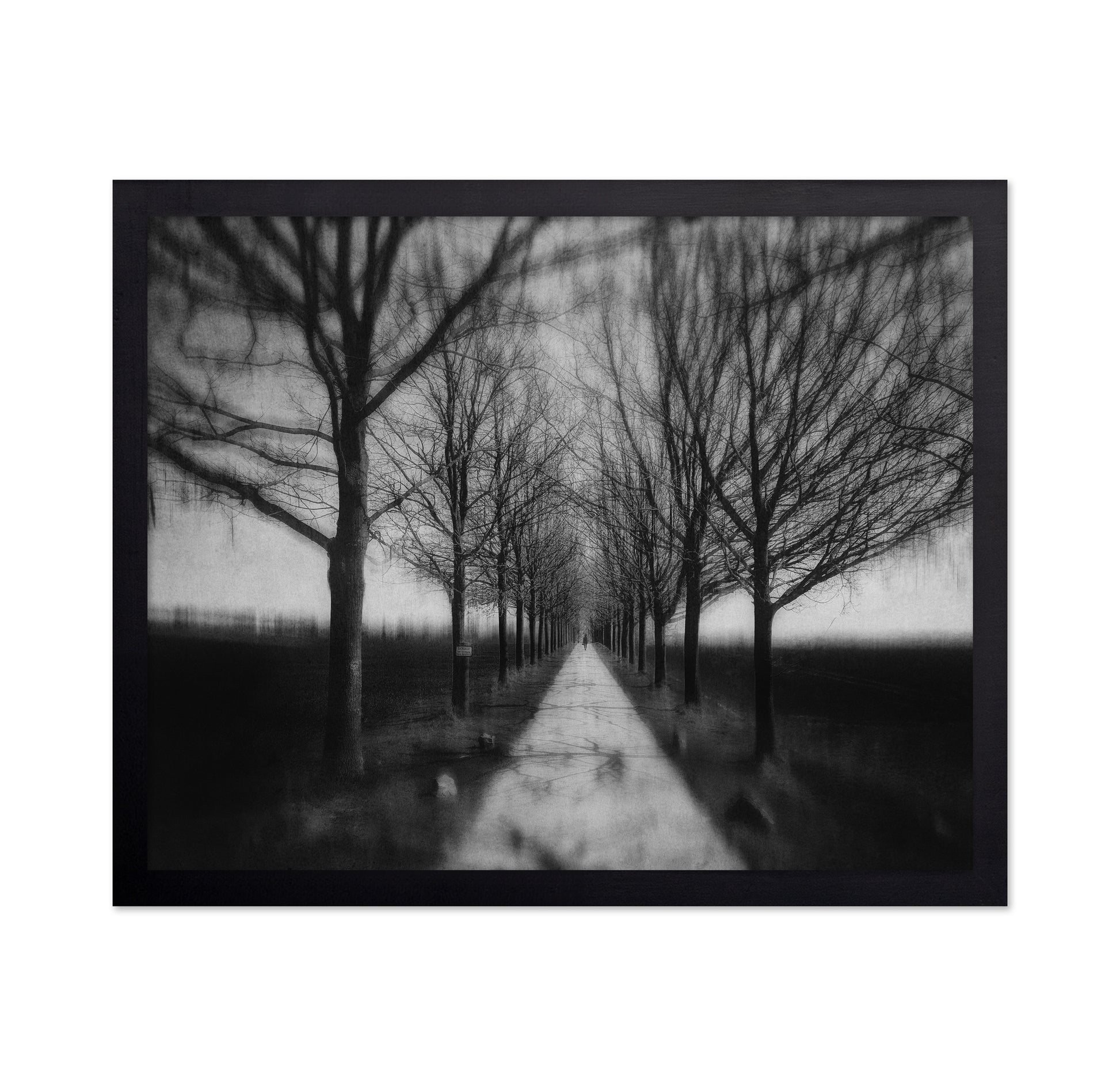 Stepping Through The Shadows