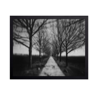 Stepping Through The Shadows