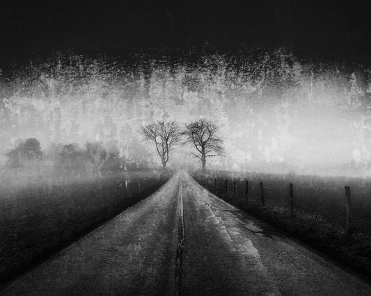 Twin Tree
