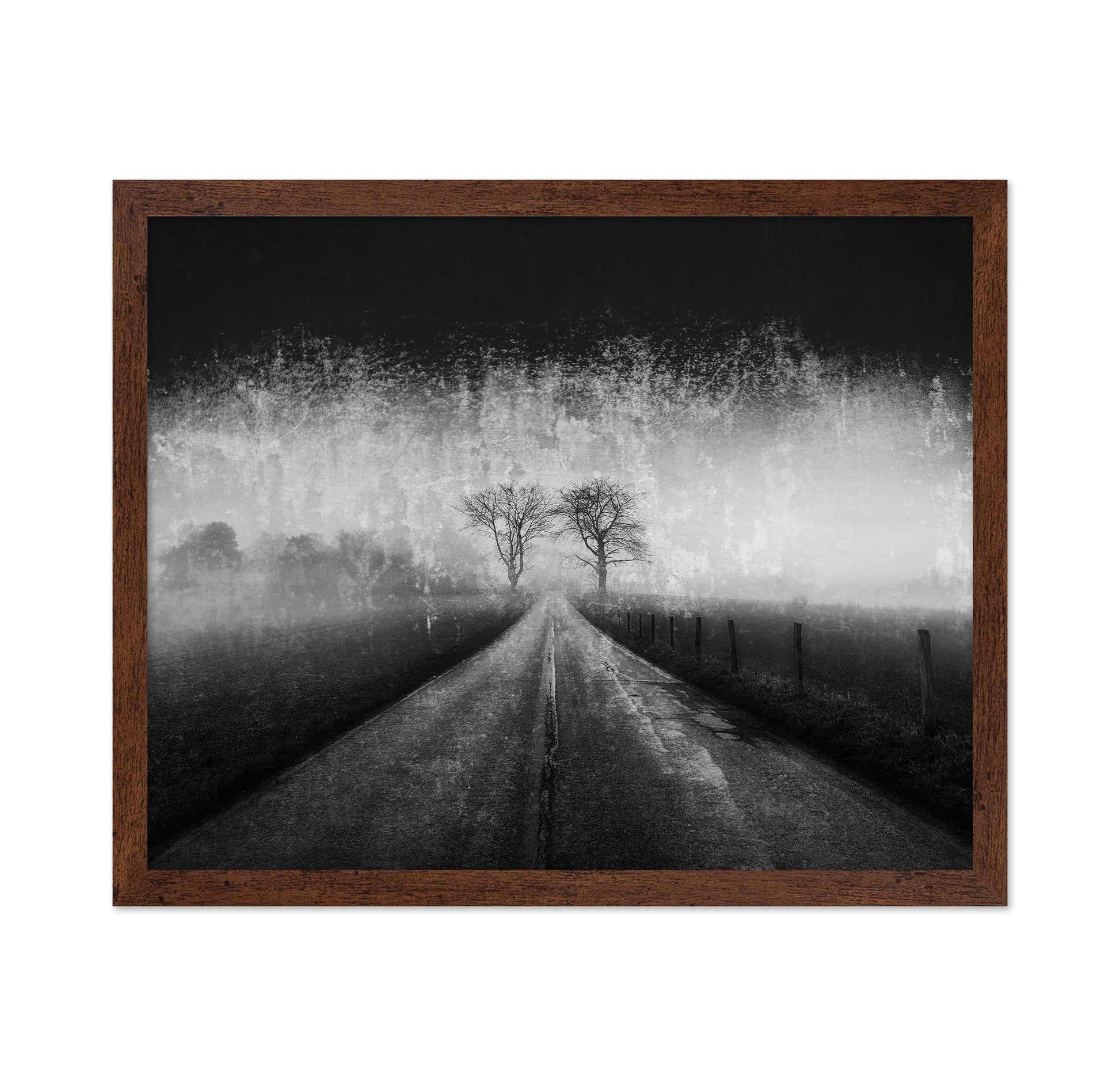 Twin Tree