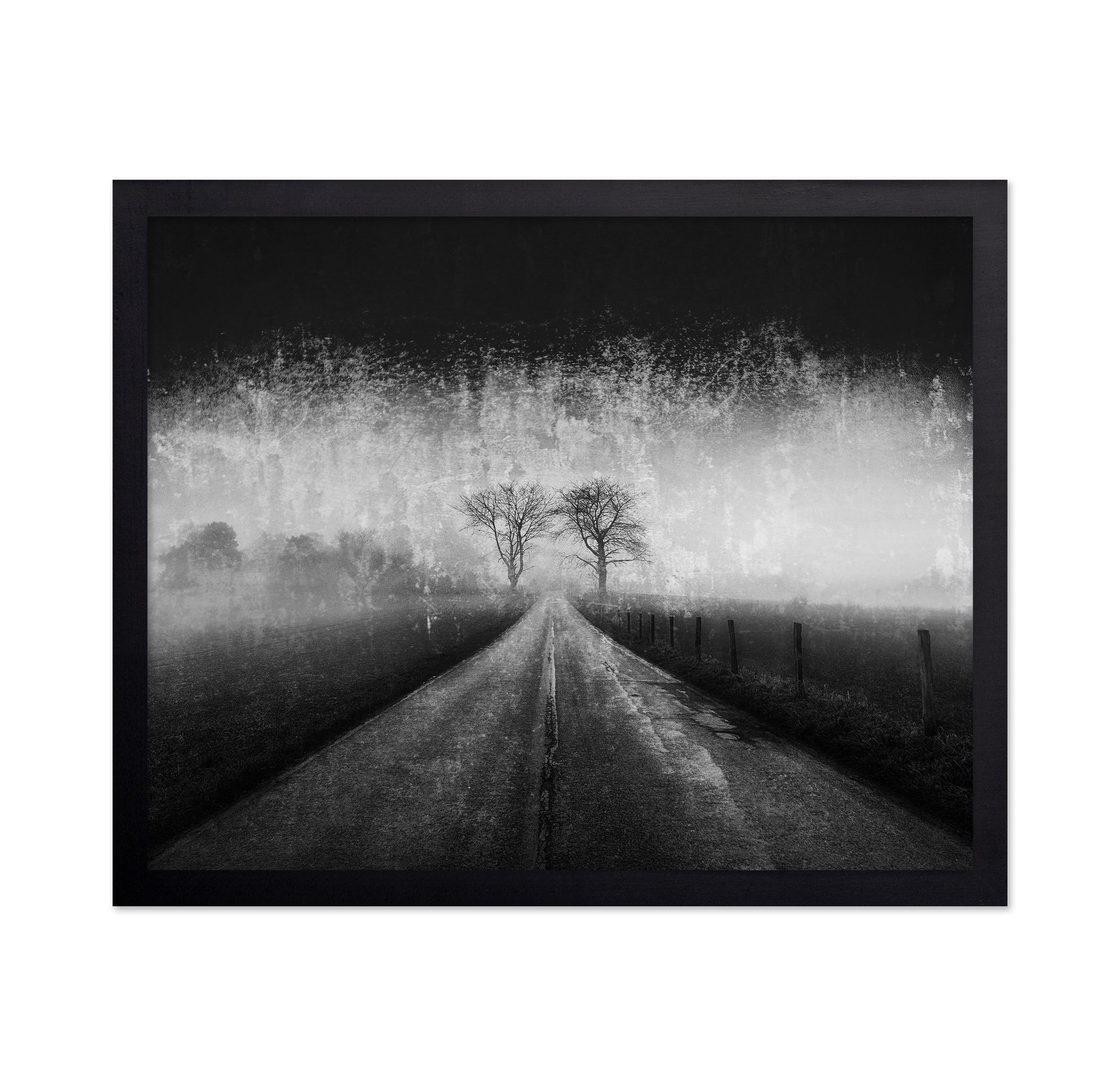 Twin Tree