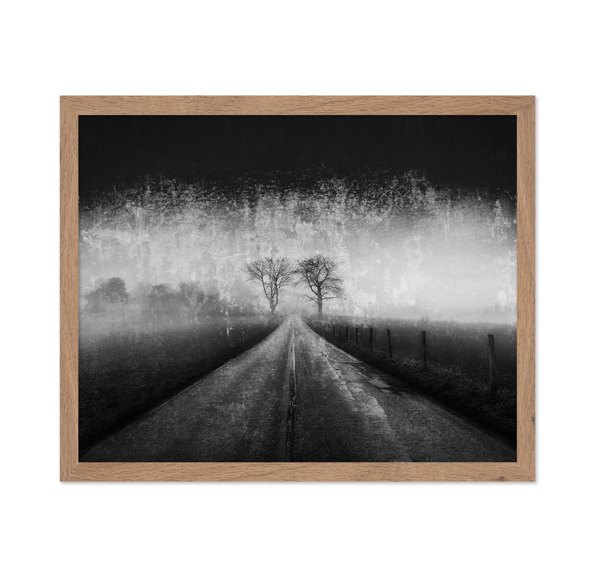 Twin Tree