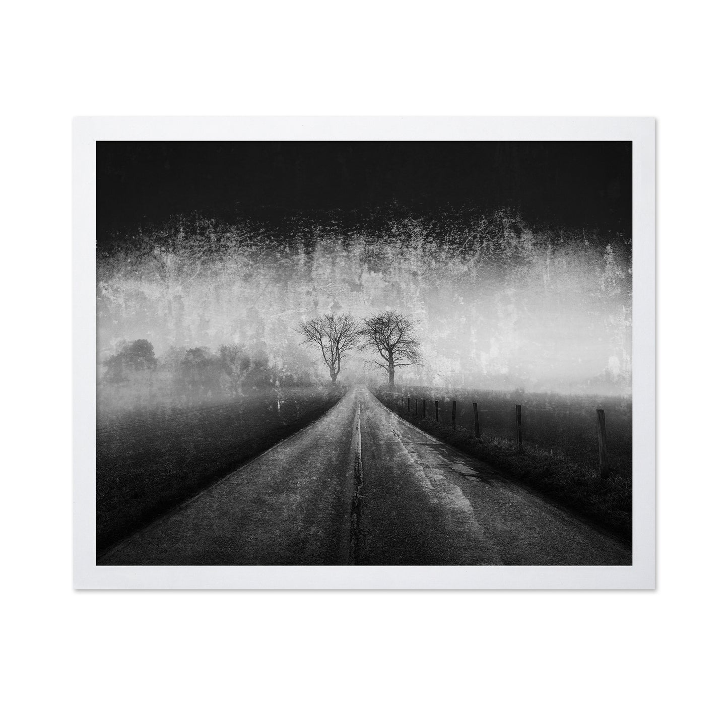 Twin Tree