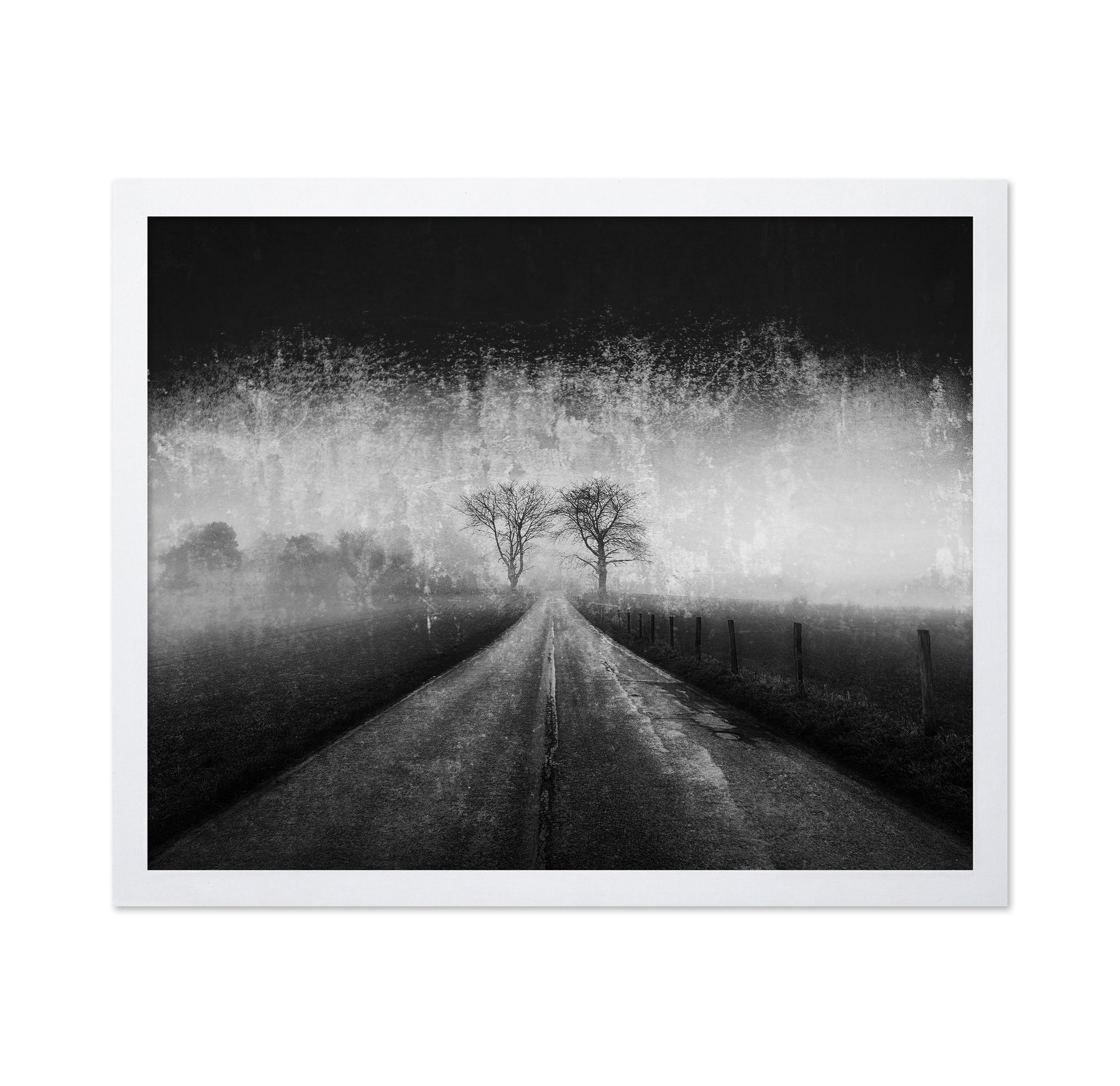 Twin Tree