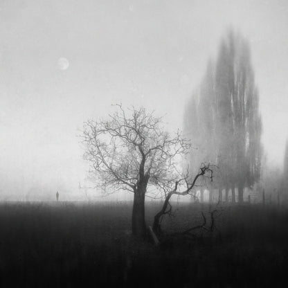 As Above So Below