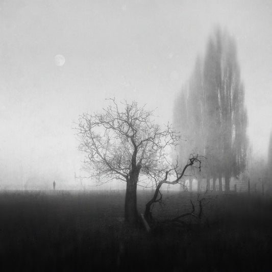 As Above So Below