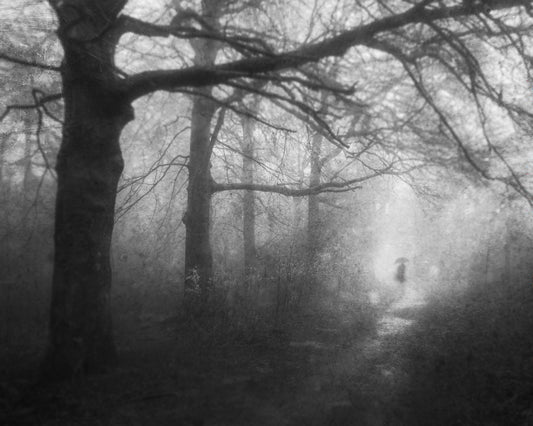 Mysterious Path
