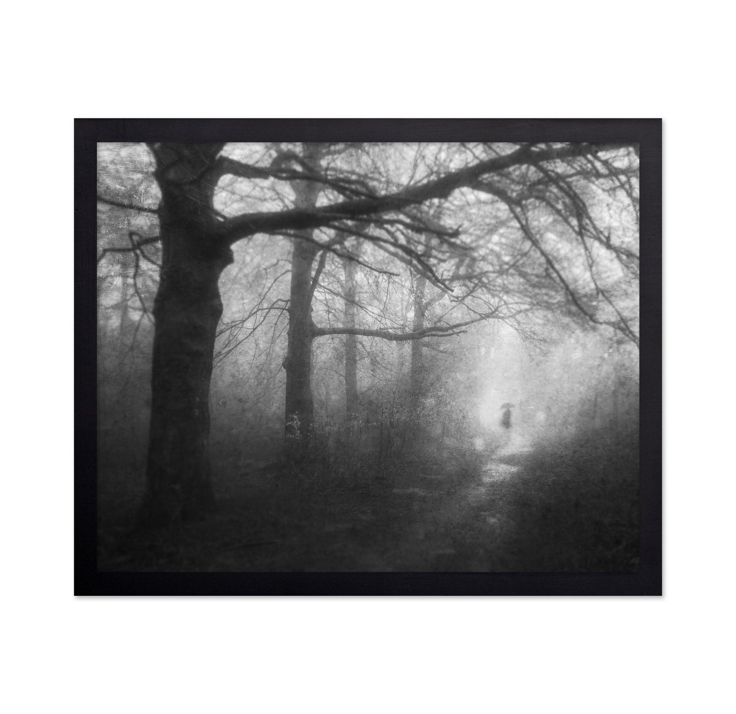 Mysterious Path