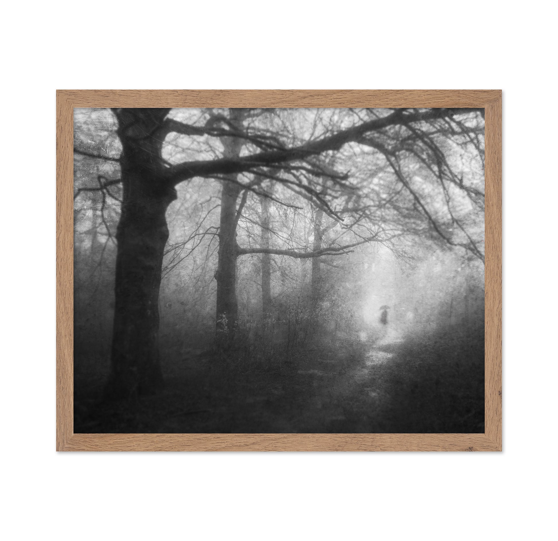 Mysterious Path