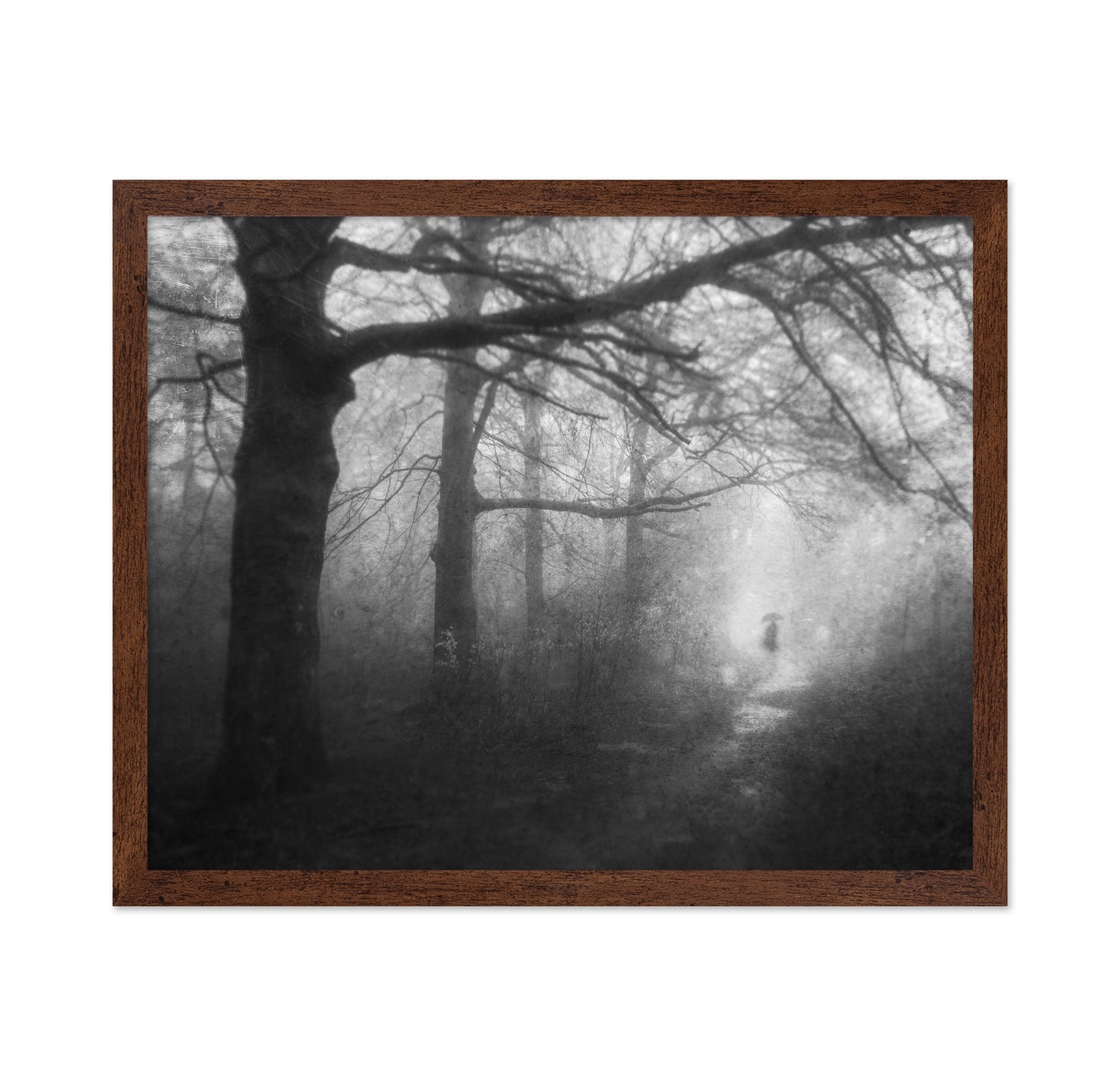 Mysterious Path