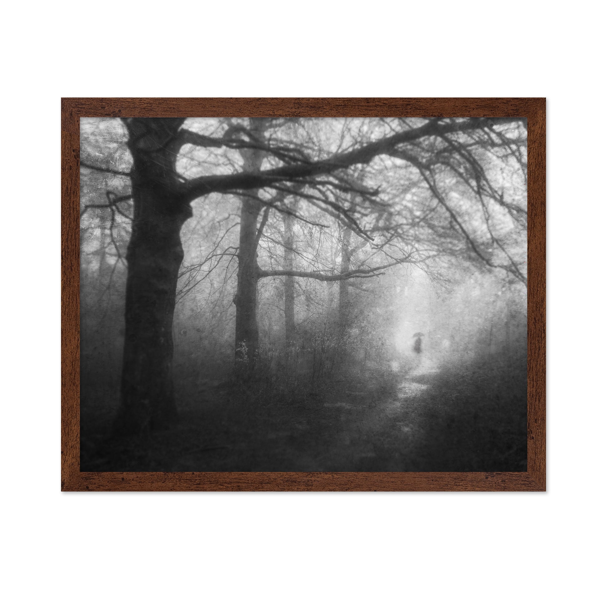 Mysterious Path