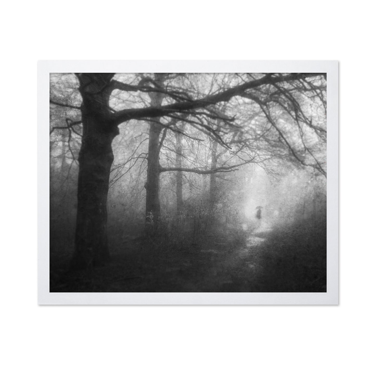 Mysterious Path