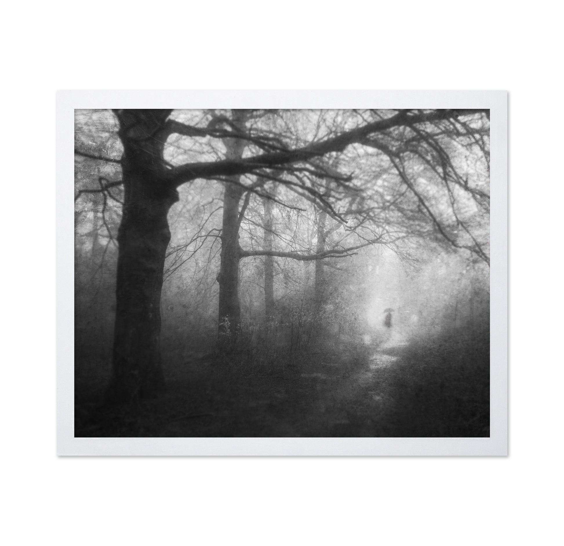 Mysterious Path