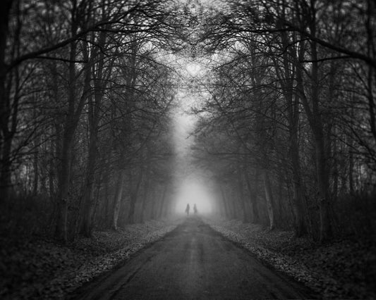 Mysterious Foggy Road