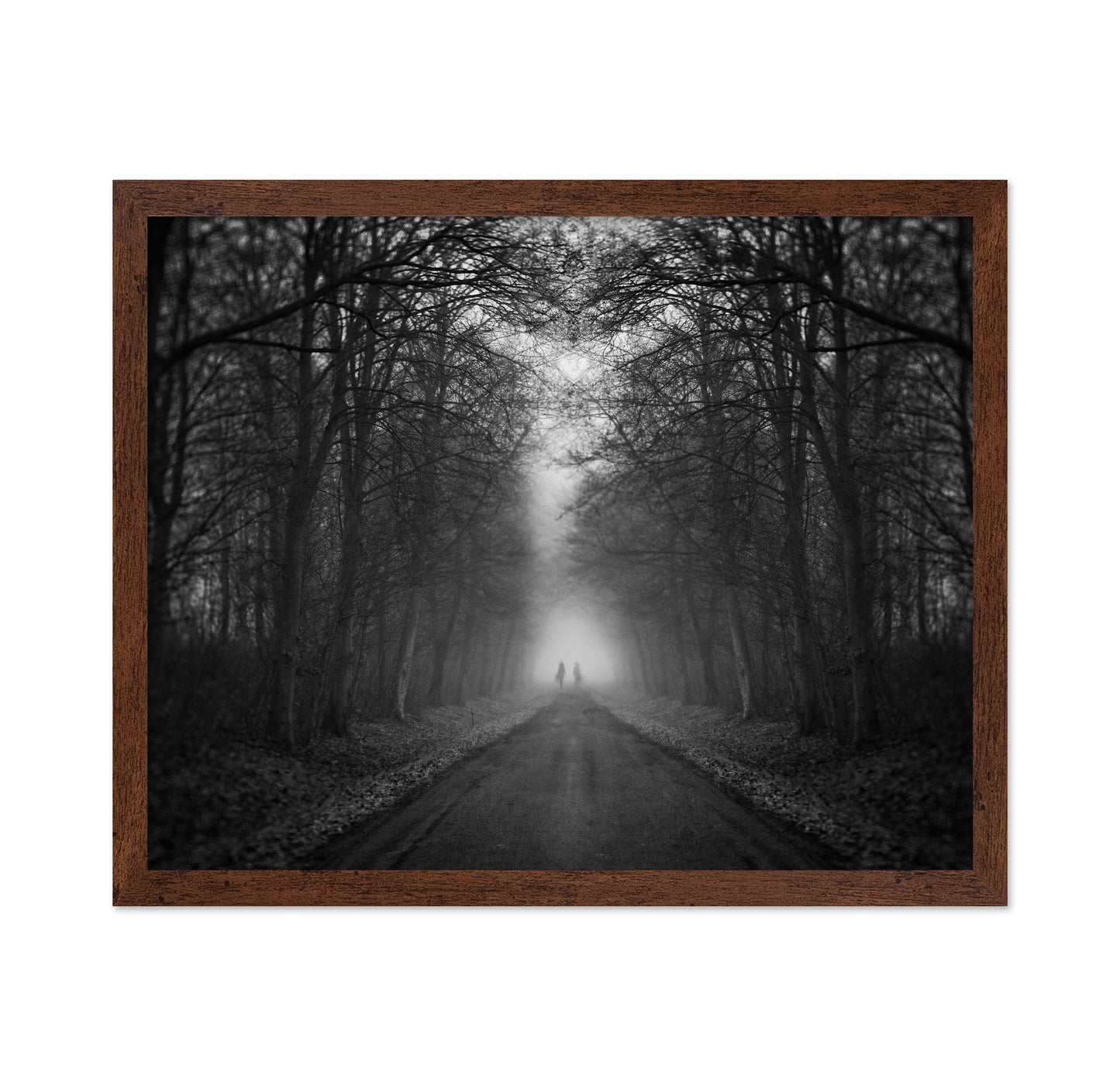 Mysterious Foggy Road