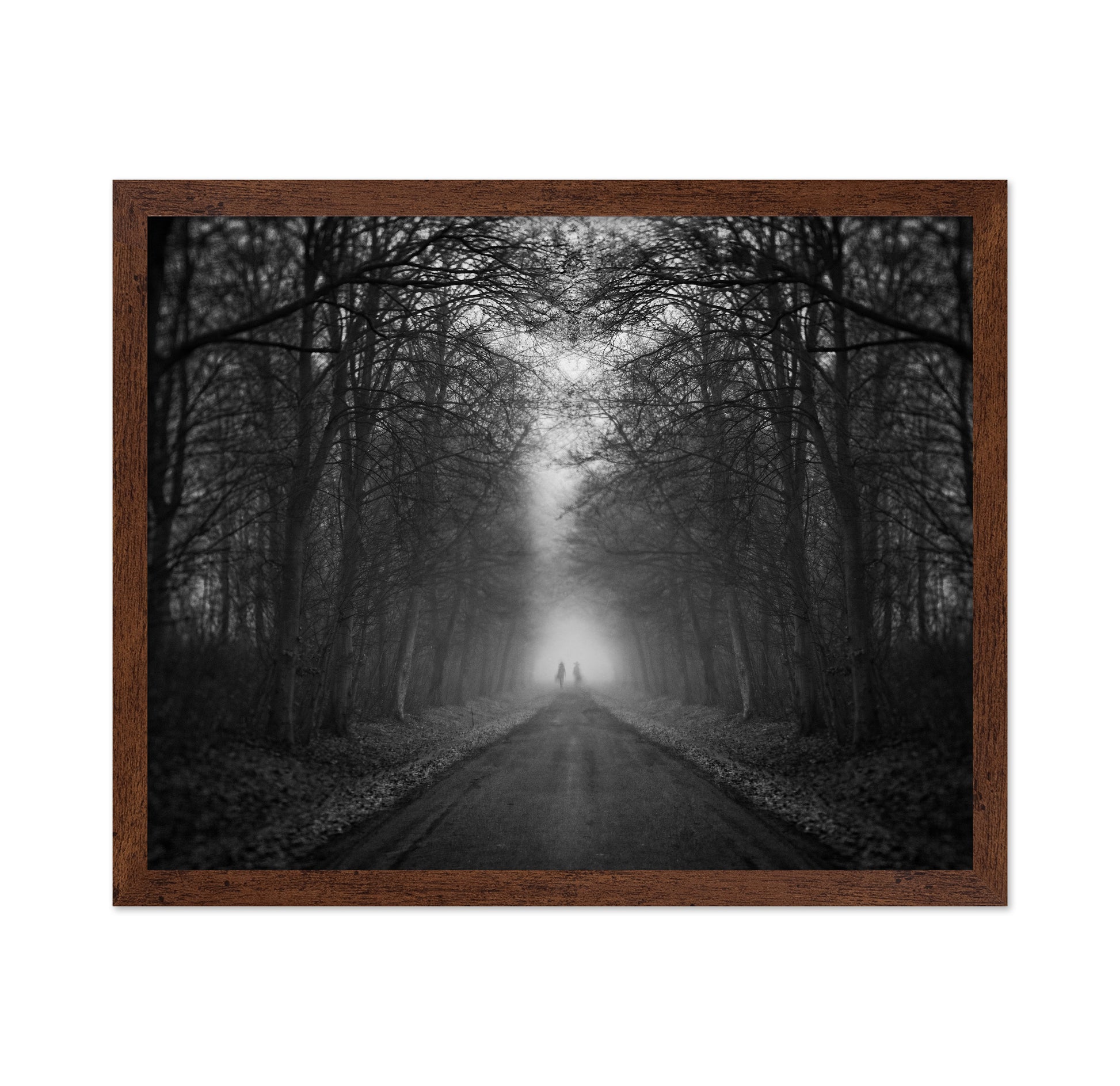 Mysterious Foggy Road