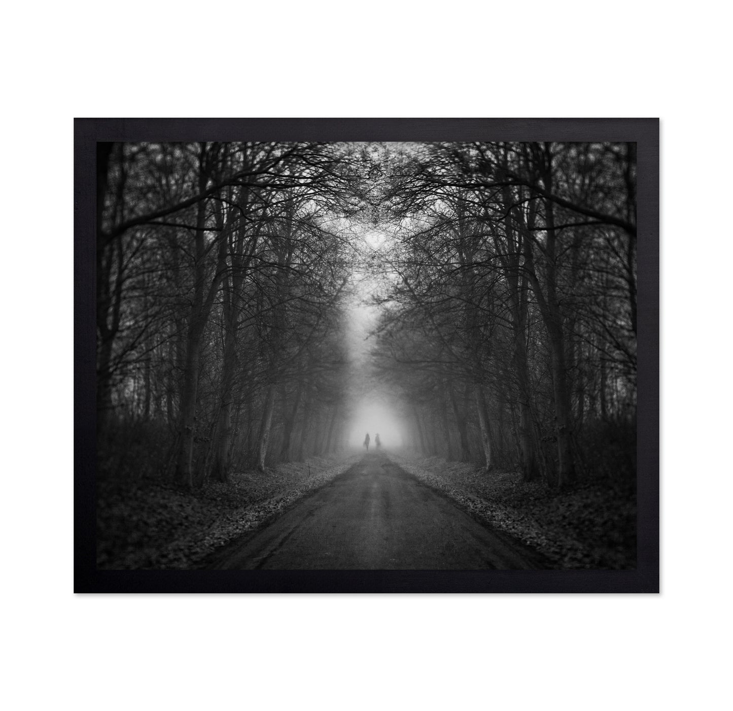 Mysterious Foggy Road
