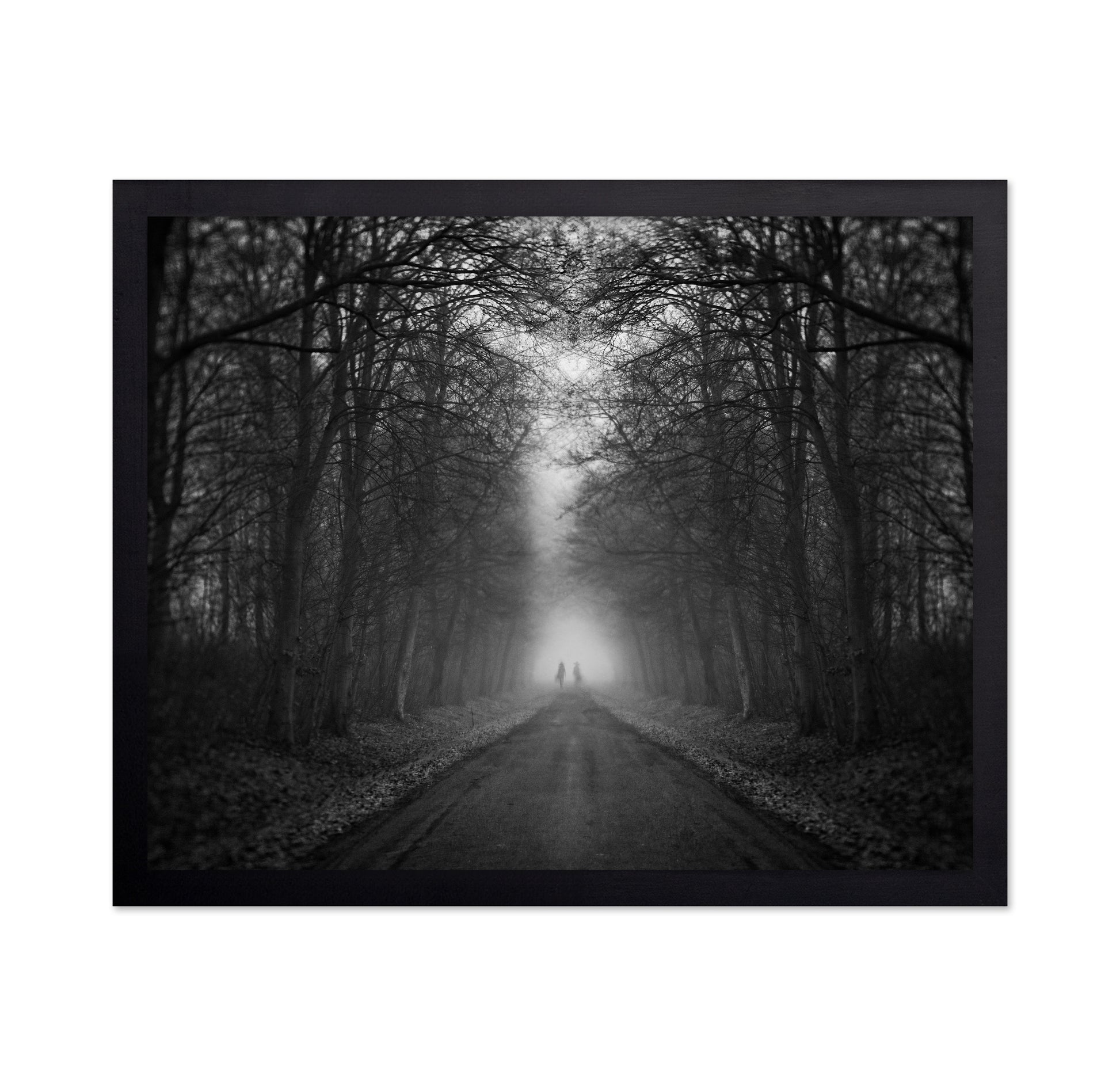 Mysterious Foggy Road