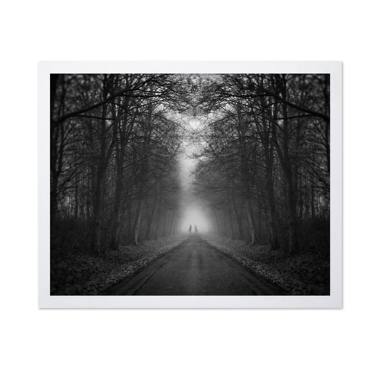 Mysterious Foggy Road