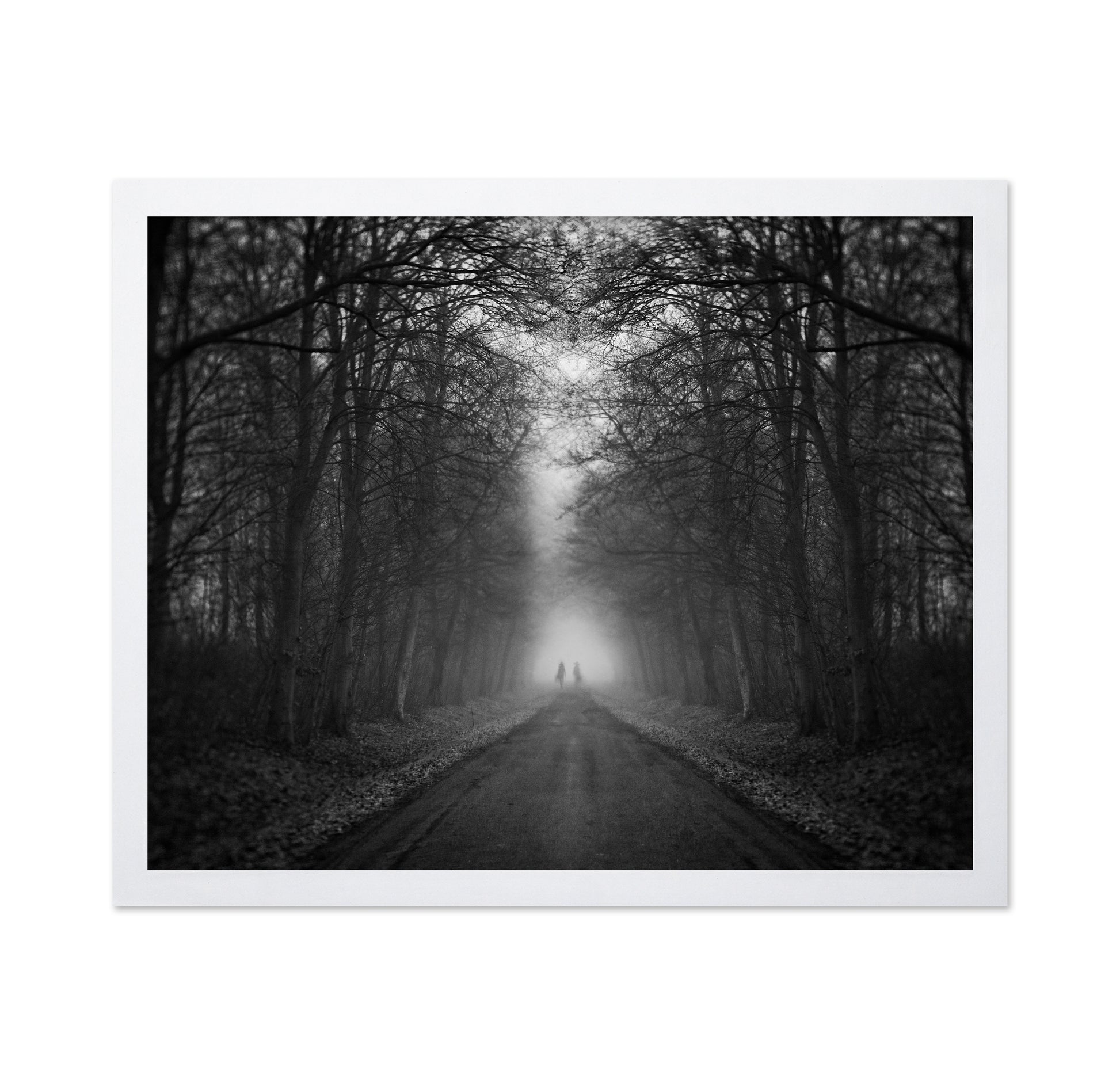 Mysterious Foggy Road
