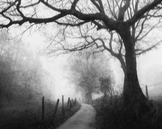 Vague Memories