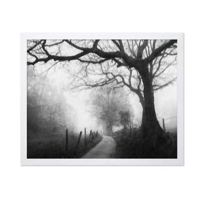 Vague Memories