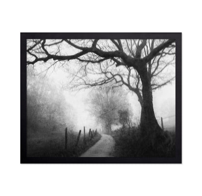 Vague Memories