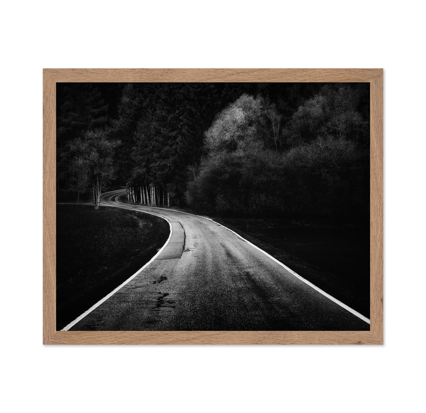Bavarian Paths