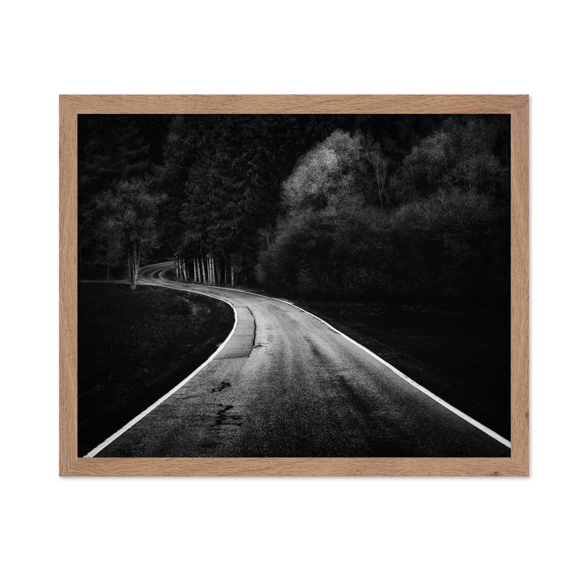 Bavarian Paths