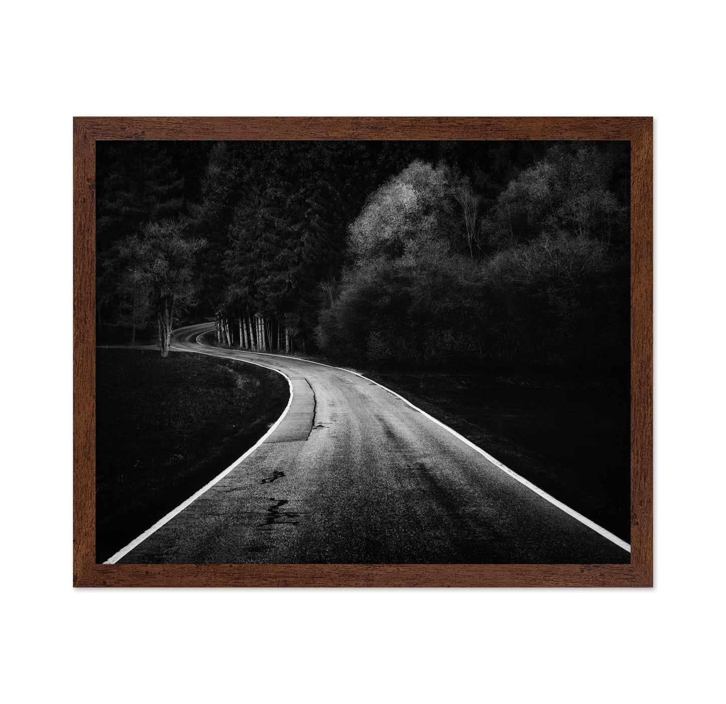 Bavarian Paths