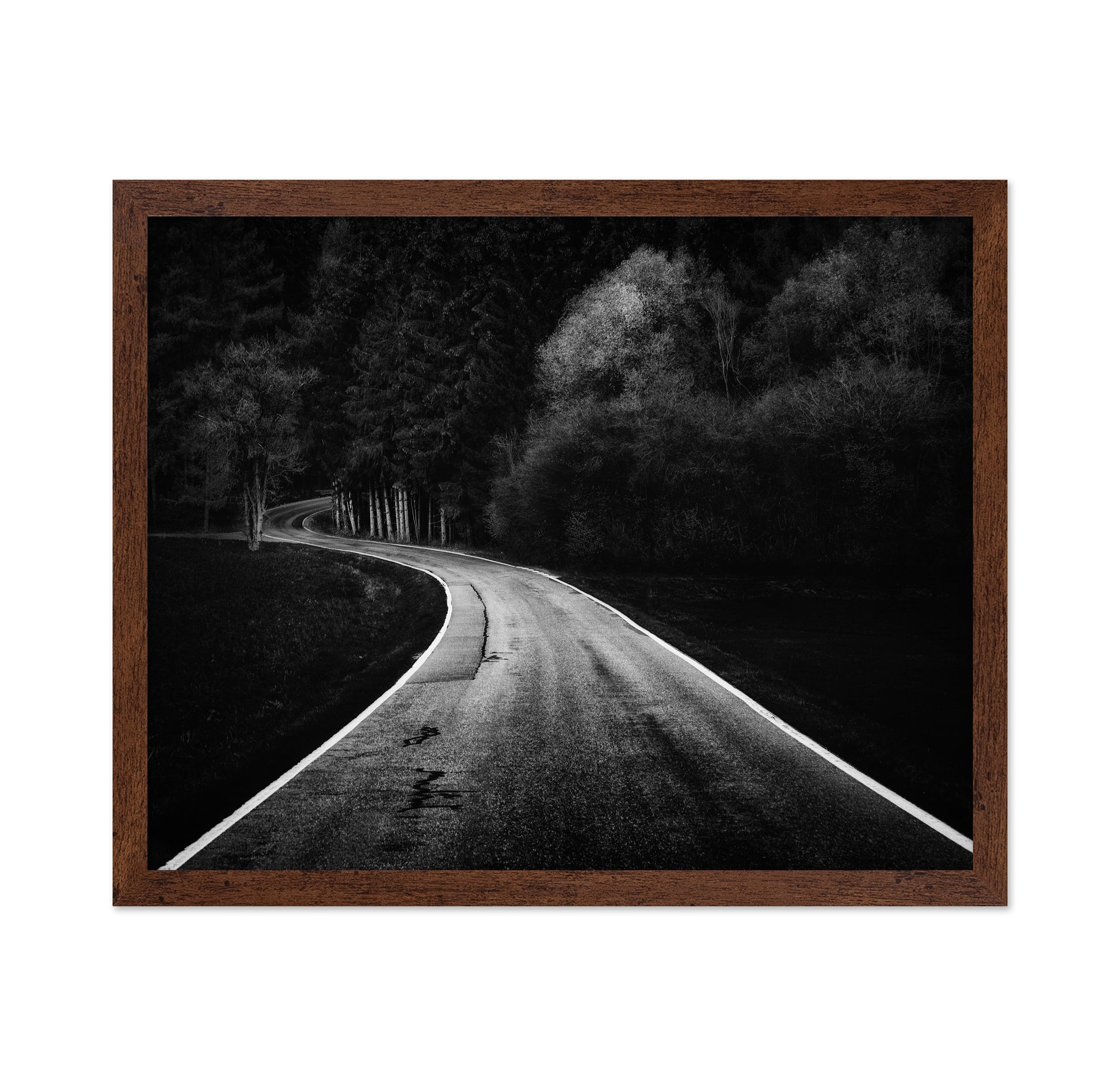 Bavarian Paths
